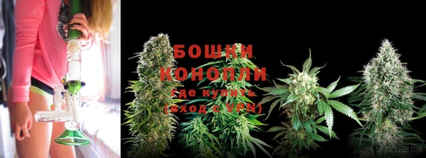 гидропоника Балахна