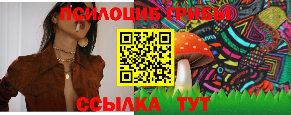 Сегежа  Галлюциногенные грибы Psilocybe  Вход с VPN 